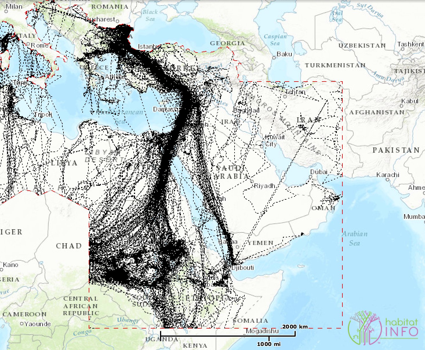 上图：大裂谷飞行路线（The Great Rift Valley Flyway）是鸟类在欧亚大陆和非洲之间的迁徙路线，经过以色列和埃及之间的西奈半岛。这是世界上最重要的鸟类迁徙走廊之一。