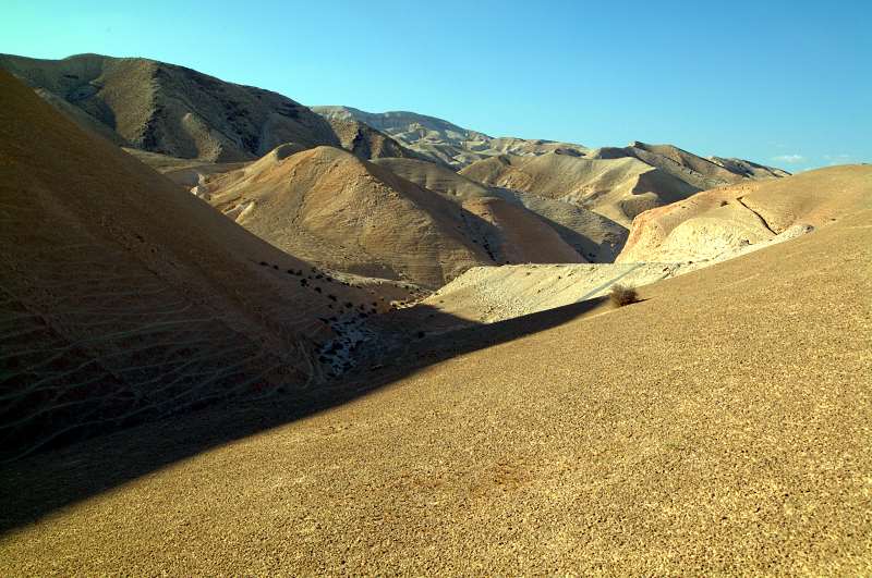 上图：犹大旷野位于犹大山地和约旦河谷之间。从橄榄山东面不远处开始就是绵延的山坡，草木稀疏，人迹罕至，从海拔900多米的犹大山地向东一直下降到海平面以下400多米的死海，南北约长100公里，东西宽约20-25公里。犹大旷野的地势由西至东下降约1300米，开始是许多平滑光秃的白垩山头连绵起伏，溪谷与沟壑纵横交错，靠近死海时逐渐变成陡峭的峡谷，到死海边成为嶙峋的悬崖。犹大旷野位于中央山地分水岭以东，地中海的雨云由西吹来，大部份雨水落在分水岭西面，分水岭东面的犹大旷野非常干旱，又有干燥的东风吹刮，雨季才偶尔有阵雨。在雨季的几个星期，干涸的旱溪（Wadi）中会激流奔涌，旷野中会长出少许植物。 大卫曾在犹大旷野躲避扫罗和押沙龙的追杀（撒上二十三14,24；二十四1；撒下十五23），他将犹大旷野描述为「干旱疲乏无水之地」（诗六十三1）。每年赎罪日，「归于阿撒泻勒的山羊」从圣殿被放到犹大旷野（利十六10）。以西结在异象中看见一条溪流从圣殿流出，经过这片旷野，灌溉两岸繁茂的树木（结四十七1-10）。施洗约翰在死海北面的那片犹大旷野开始传道（太三1-6），主耶稣很可能也在犹大旷野受魔鬼引诱（太四1）。