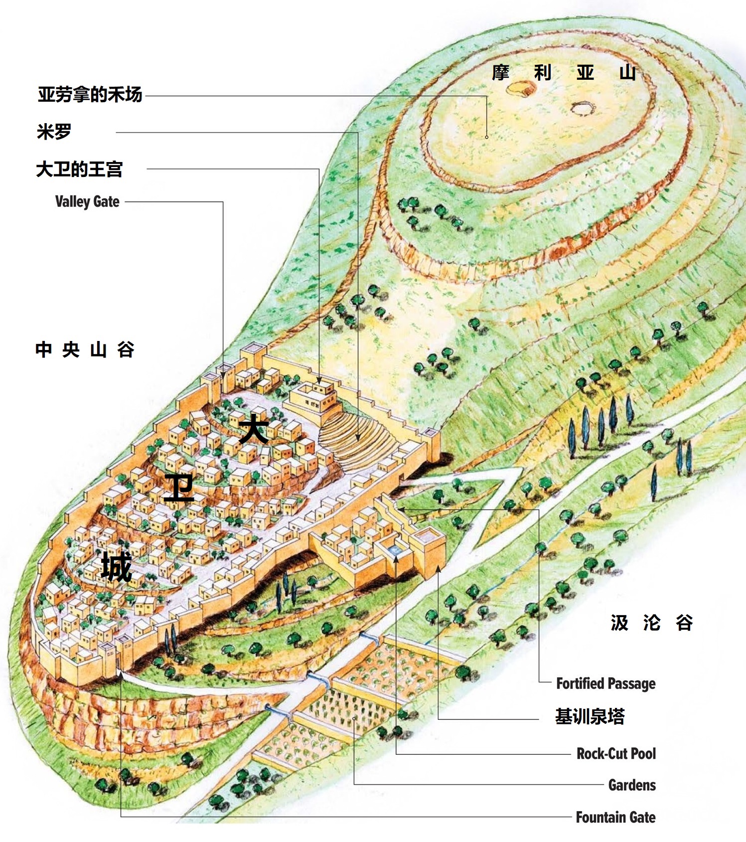 上图：摩利亚山上的亚劳拿的禾场位于大卫城的上方。